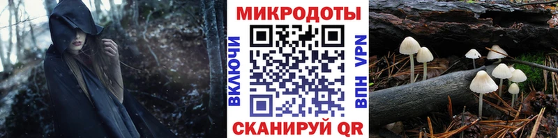 Галлюциногенные грибы Psilocybe  Купить  Джанкой 
